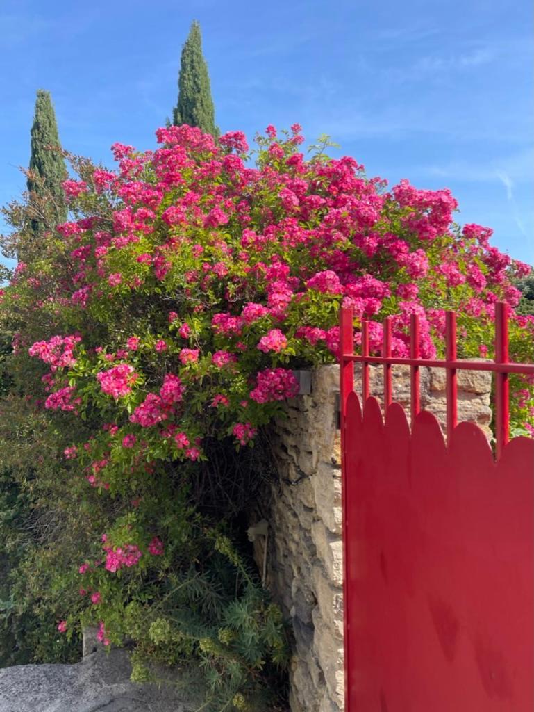 La Borie En Provence Bed & Breakfast Gordes Eksteriør bilde