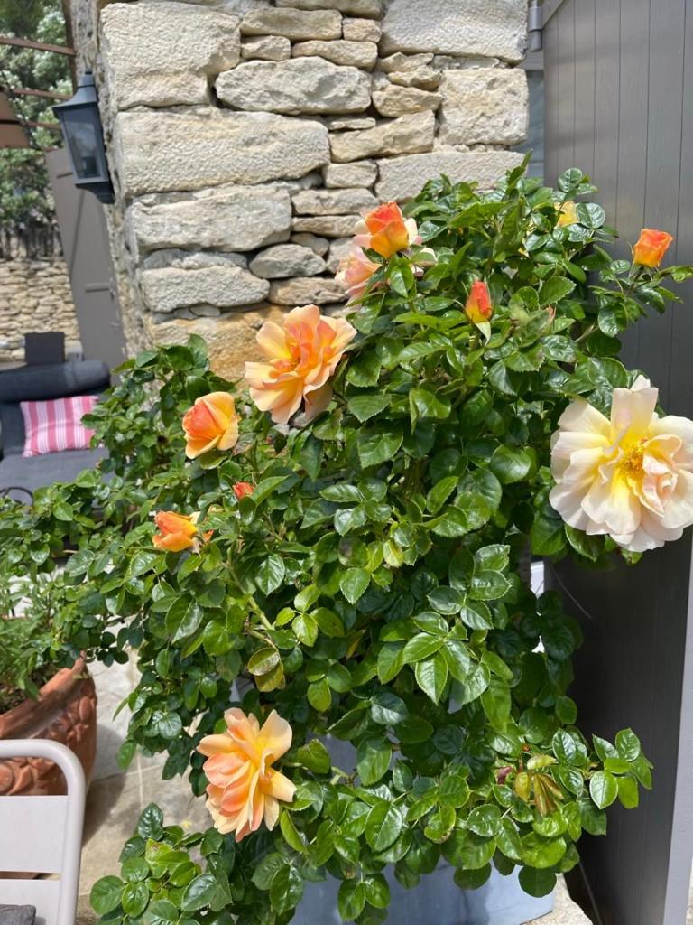 La Borie En Provence Bed & Breakfast Gordes Eksteriør bilde
