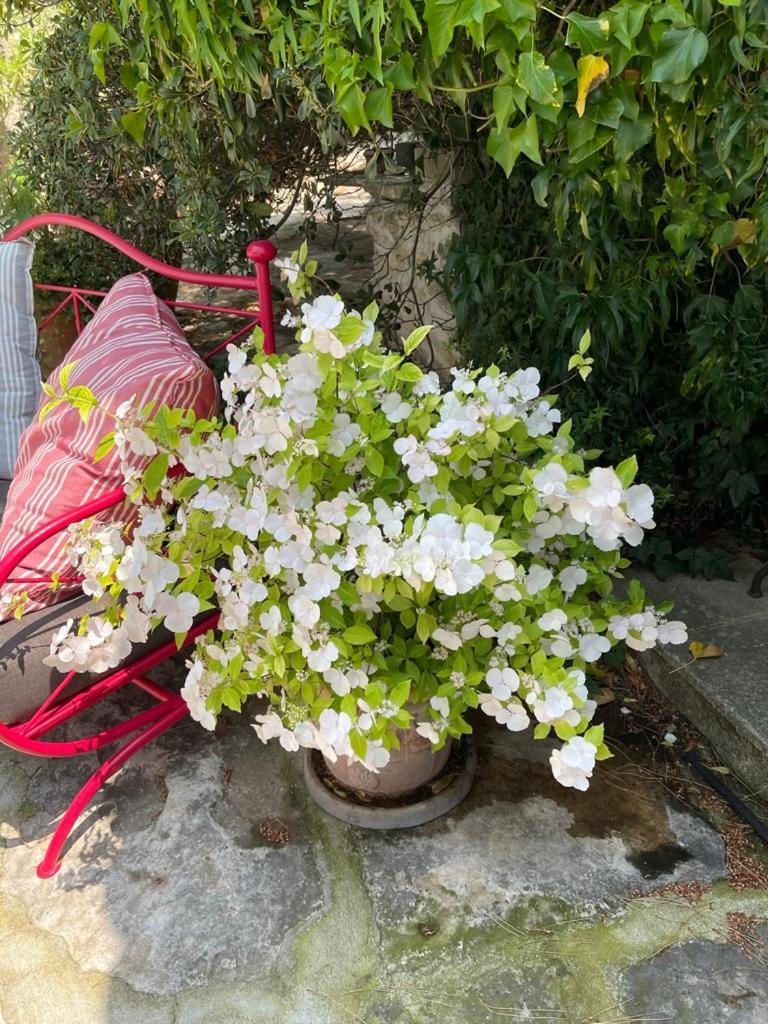 La Borie En Provence Bed & Breakfast Gordes Eksteriør bilde