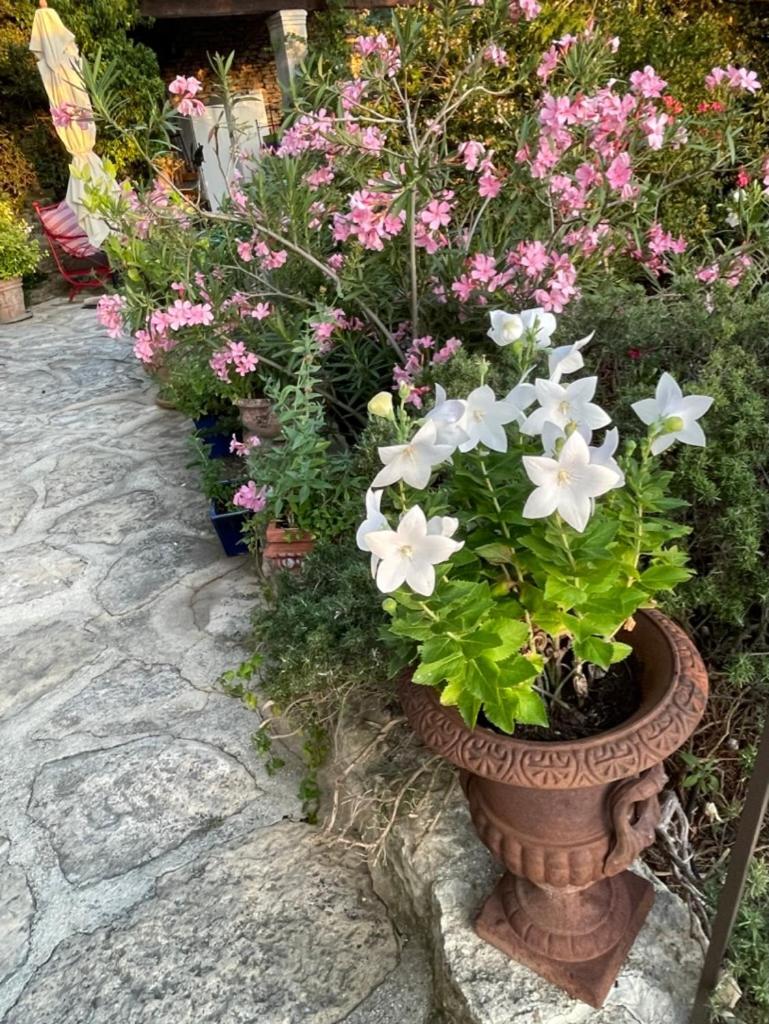La Borie En Provence Bed & Breakfast Gordes Eksteriør bilde